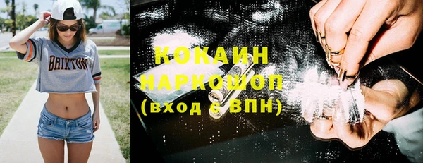 шишки Лиски