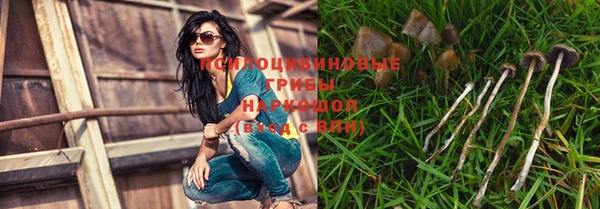 МДМА Медвежьегорск