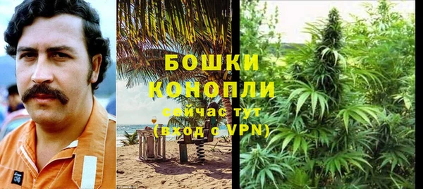 шишки Лиски